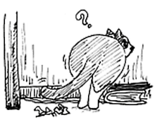 �����ߊG���L�̃C���X�g