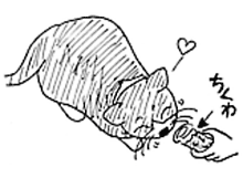 �����ߊG���L�̃C���X�g