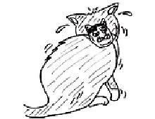 �����ߊG���L�̃C���X�g