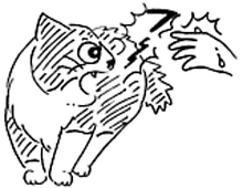 �����ߊG���L�̃C���X�g