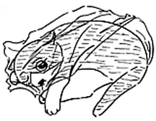 �����ߊG���L�̃C���X�g