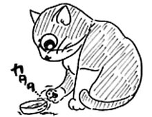 �����ߊG���L�̃C���X�g