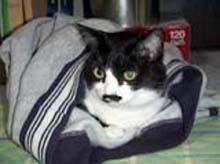 �����ߊG���L�̎ʐ^