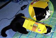 �����ߊG���L�̃C���X�g