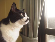 �����ߊG���L�̎ʐ^