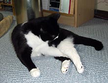 �����ߊG���L�̎ʐ^