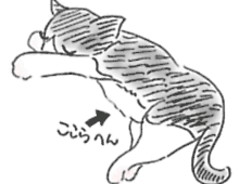 �����ߊG���L�̃C���X�g