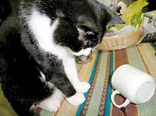 �����ߊG���L�̎ʐ^