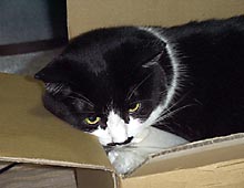 �����ߊG���L�̎ʐ^