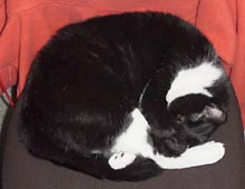 �����ߊG���L�̎ʐ^