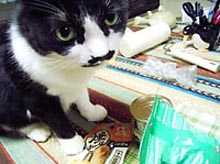 �����ߊG���L�̎ʐ^