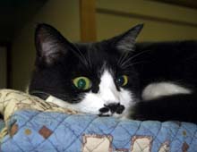 �����ߊG���L�̎ʐ^