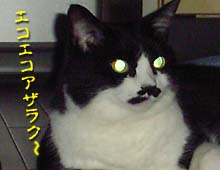 �����ߊG���L�̎ʐ^