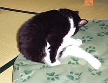 �����ߊG���L�̎ʐ^