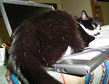 �����ߊG���L�̎ʐ^