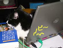 �����ߊG���L�̎ʐ^