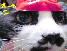 �����ߊG���L�̎ʐ^