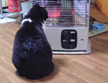 �����ߊG���L�̎ʐ^