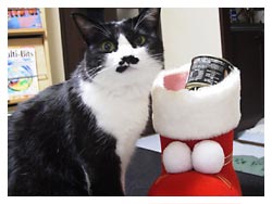 �����߂̔L�L�O��