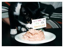 �����߂̔L�L�O��