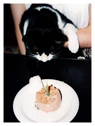 �����߂̔L�L�O��