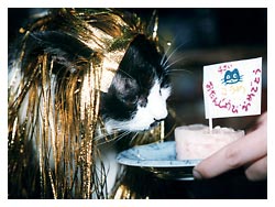 �����߂̔L�L�O��