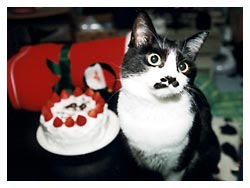 �����߂̔L�L�O��