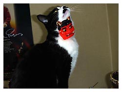 �����߂̔L�L�O��