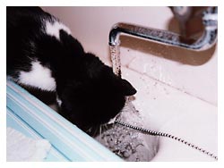 �L�̖{�\��������