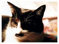 �L�|�[�g���[�g�ʐ^