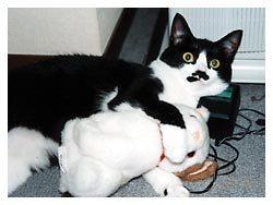 �����ԏ����L�l