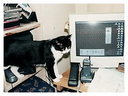 �J���g�N�L