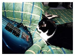 �����ԏ����L�l