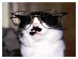 �L�|�[�g���[�g�ʐ^