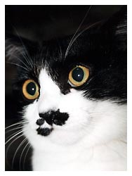 �L�|�[�g���[�g�ʐ^