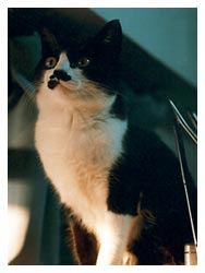 �L�|�[�g���[�g�ʐ^