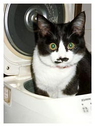 �L�̖{�\��������