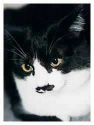 �L�|�[�g���[�g�ʐ^