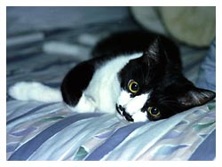 �L�|�[�g���[�g�ʐ^