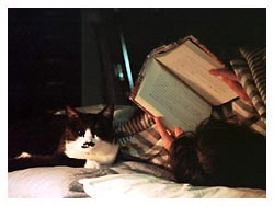 �����ߎʐ^�@���₷��