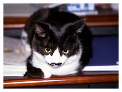 �L�|�[�g���[�g�ʐ^