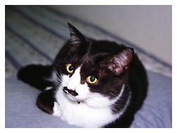 �L�|�[�g���[�g�ʐ^