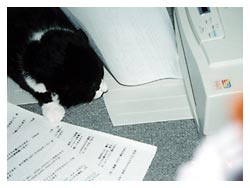 �L�̖{�\��������