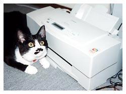 �����ԏ����L�l