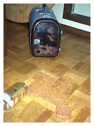 �L�̖{�\��������