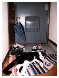 �����͔L�̂��d��