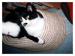 �����ԏ����L�l