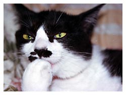 �L�|�[�g���[�g�ʐ^