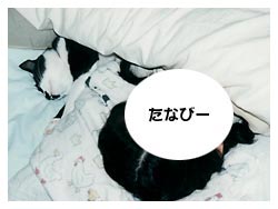 �����͔L�̂��d��