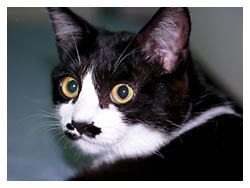 �L�|�[�g���[�g�ʐ^